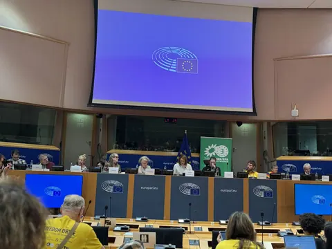 Il tavolo dei relatori durante l’incontro nella sala del Parlamento europeo.